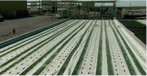 [그림  6.  Joule사의  Sunflow-E  ethanol  생산을  위한  Helioculture  system] 출처:  http://www.algaeindustrymagazine.com/joule-gets-epa-clearance-modified-cyanobacteria 3