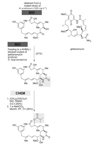 그림 9.  BIO-BIO-CHEM  대표적인 예 :  2개의 다른 돌연변이 균주  A.  pretiousum  와  S,  hygroscopicus 를 순차적으로 배양하여 생합성을 하고,  ansamitocin  중 간체 C3위치에 ester  측쇄를 선택적으로 합성/도입하여 ansamitocin  P3  유 도체를  합성