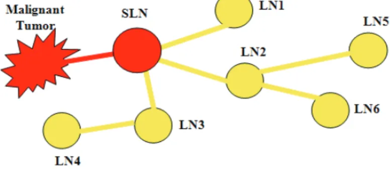 그림  1.  Diagram  presenting  the  concept  of  SLN 2