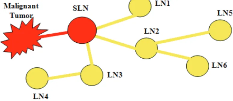 그림  1.  Diagram  presenting  the  concept  of  SLN 2