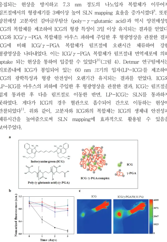 그림  4.  SLN  mapping  in  the  mouse  by  the  ICG/γ-PGA  complex 10