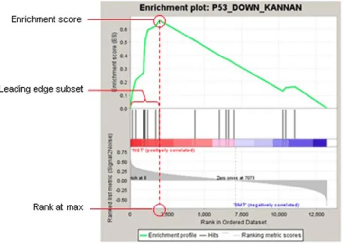 Table 1. Typical Gene Set Analysis Tools