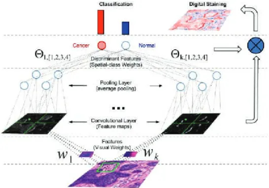 그림 15. 기저세포암 진단을 위한 Deep Convolutional Auto-Encoder [28].