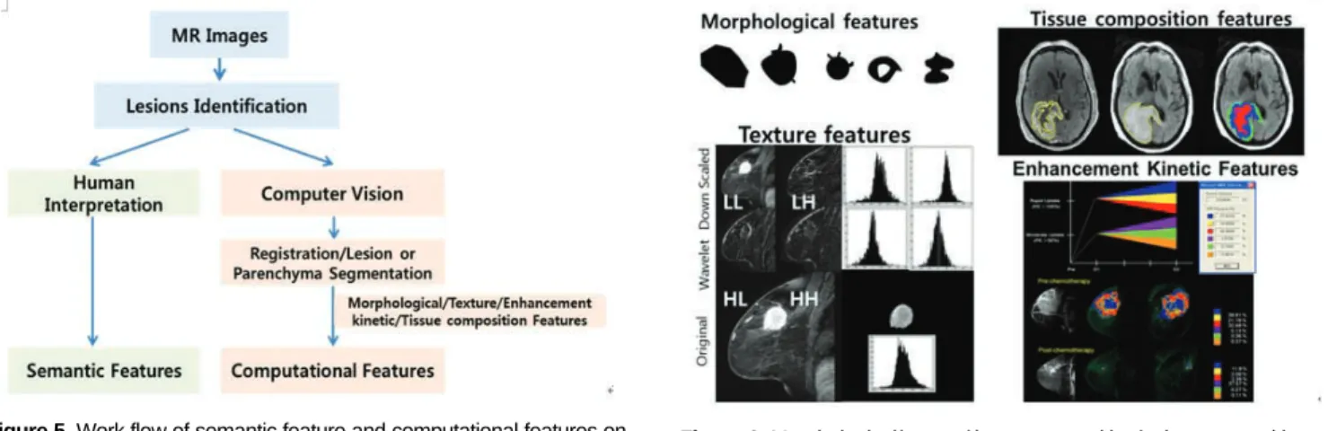 Figure 5. Work flow of semantic feature and computational features on MRI.