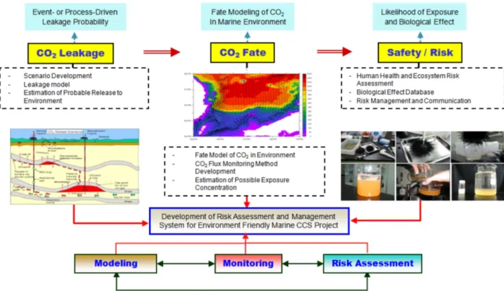 Fig. 4. Framework for the development of risk assessment and management system for environment-friendly ocean CCS project in Korea (Choi  et al.[2009]).