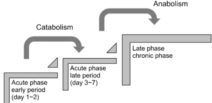 Fig. 1. Nutrition strategies related to phases of critical illness.받침하고 있다. 하지만 ESPEN 중환자 영양 지침5 에서는 급성기에는 빠르게 요구량에 도달하는 것은 권고하지 않았으며 3∼7일 이내에 요구량에 도달하는 것을 권고하였다(Fig