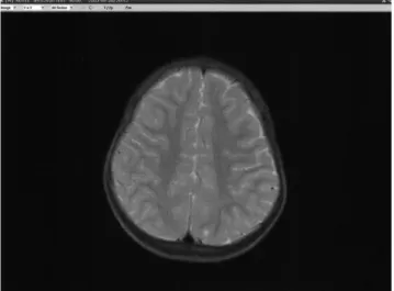 Fig. 1. Main Window of DICOM 3.0 to JPEG2000 Converter