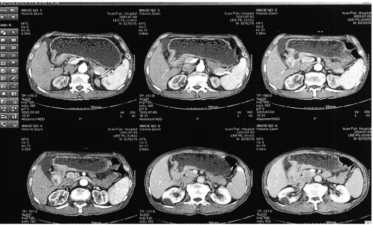 Fig. 2. Image viewing screen.
