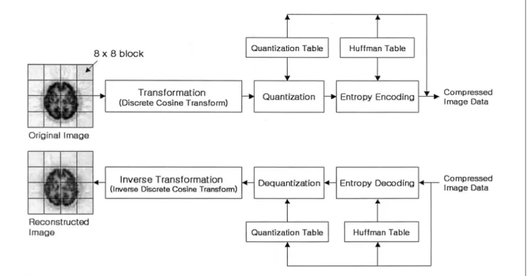 Fig. 1. JPEG Encoding/Decoding 과정