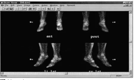 Fig. 1. Image viewer program.