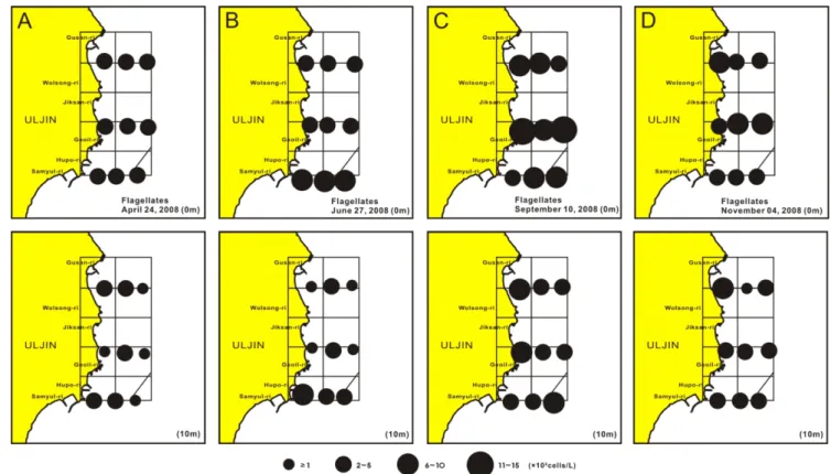 Fig. 6. Spatio-temporal variations of phytoflagellates cell density at surface and 10 m layers in the UMRA.