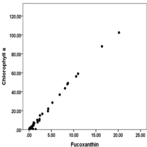 Fig. 5. Correlation coefficient for chlorophyll a and fucoxanthin in algal pigment in surface water.