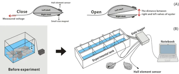 Fig. 1. Schematic of the setup for the shell valve movements (SVMs).