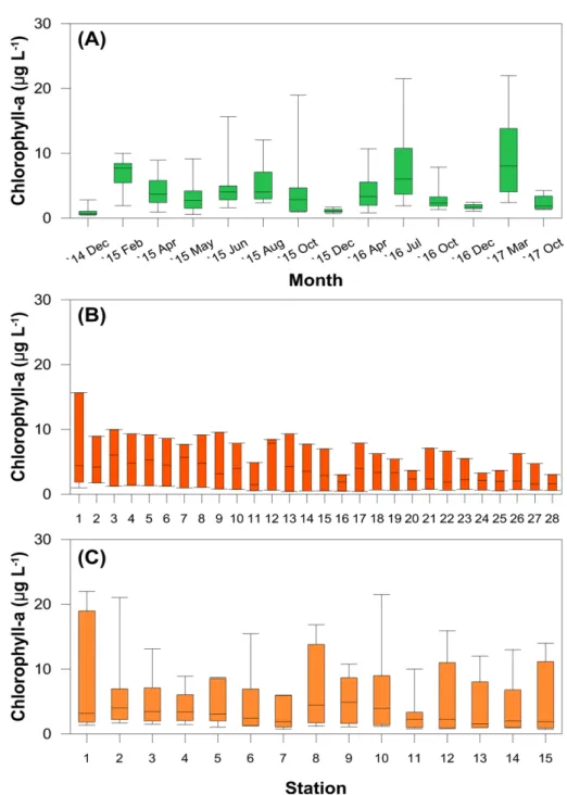 Fig. 7. Chlorophyll-a of surface water in the Geum River estuary ((A): temporal variations; (B): spatial variations during 1 st  to 5 th  survey;