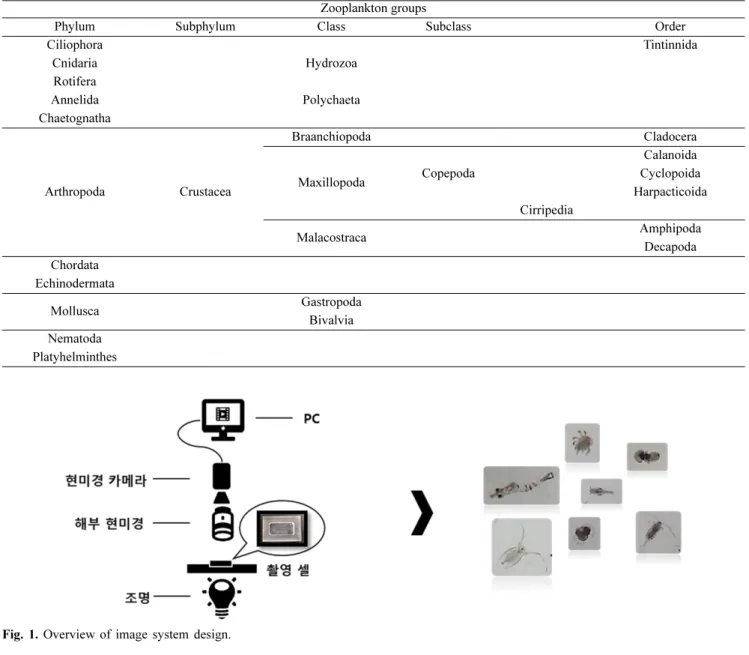Table 1. Classification groups used for machine learning
