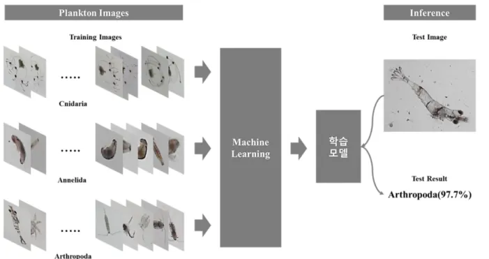 Fig. 3. Object detection process in image (A: Original image, B: Gray scale, C: Thresholding, D: Dilate, E: Contour, F: Organism detection).