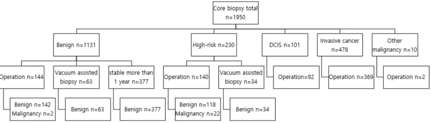 Fig. 1. Study population