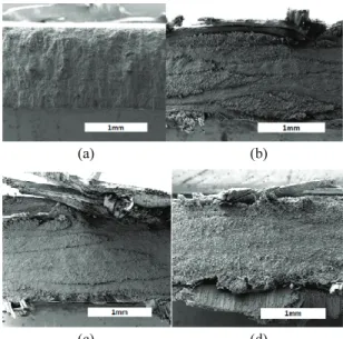 Fig. 8 Comparison between experimental results and  numerical value in terms of (a) cutting and (b)  thrust forces with cutting speed=80m/min and  feed rate= 0.21mm/rev 