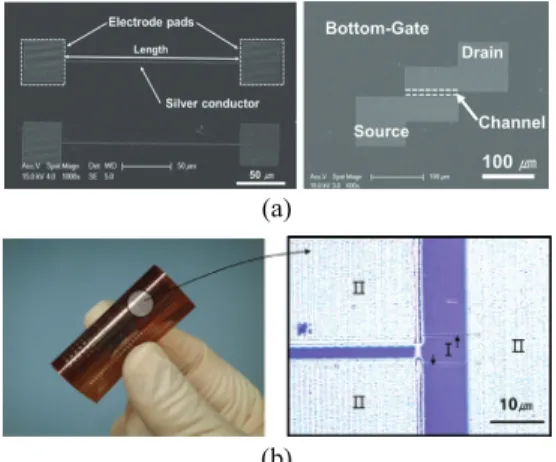 Fig. 8  (a) SEM image of the fabricated Ag conductor  and organic field effect transistors (OFETs), (b)  Metallic patterns which are fabricated on a  polyimide film 