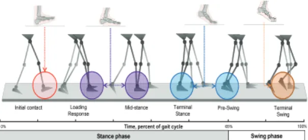Fig. 2  Energy consumption of each joint (hip, knee,  ankle) and total in stance and swing phase