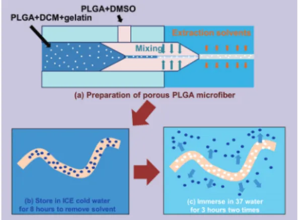 Fig. 2 Schematic images of preparation process for  porous PLGA microfiber 