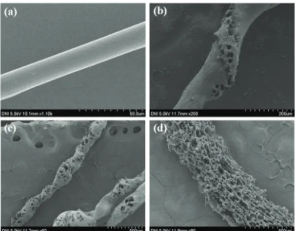 Fig. 4  Optical images and FE-SEM image of porous  PLGA microfiber prepared by glass capillary  device 