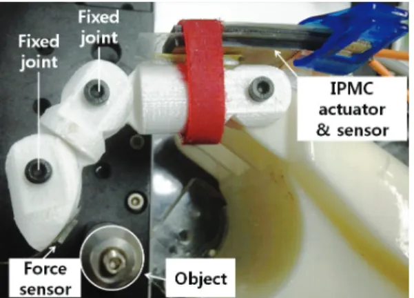 Fig. 11 IPMC sensor-actuator and finger dummy 