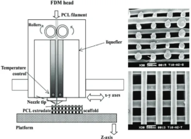 Fig.  8 Scaffold fabrication using stereo-lithography (SLA) 23
