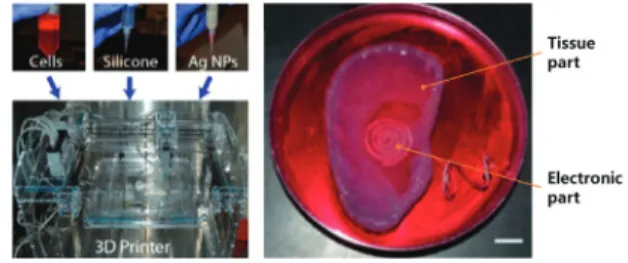 Fig.  16 3D printing system of cell-hydrogel and  electronic materials and 3D printed bionic ears 35