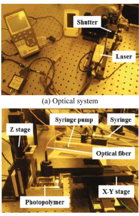 Fig. 4 Photograph of the SL system 11