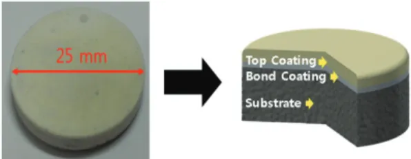 Fig. 1 Coin-type APS TBC specimen 