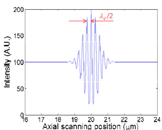 Fig. 1 Correlogram of white light scanning interferometry 