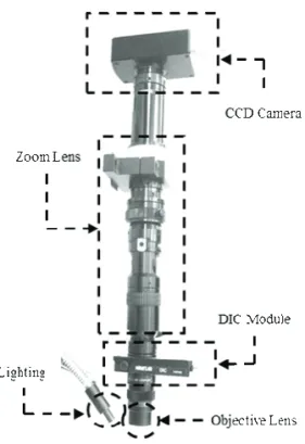 Table 1 Bonding Conditions  Test No. ACF Temperature 