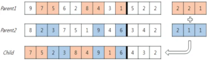 Fig. 3 Two-part chromosome crossover 