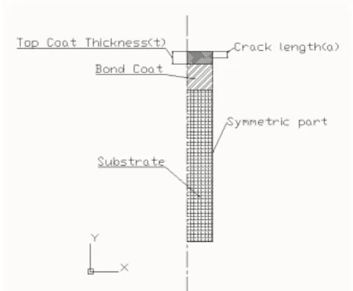 Fig. 2 Model for DVC coating analysis 