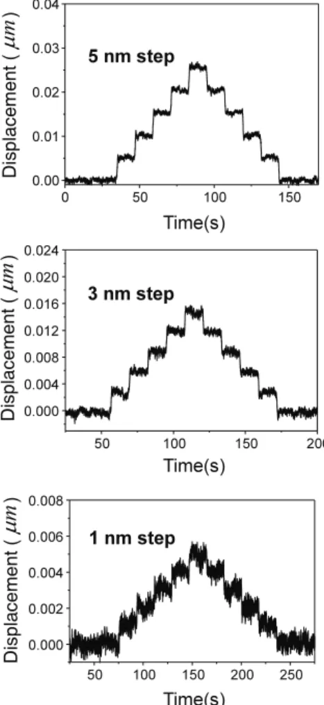 Fig. 12  Multi-step positioning control results showing 1  nm positioning control performance