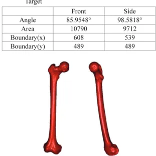 Table 2 Optimal Values for Each Bones  Transform Femur  Tibia  Fibula