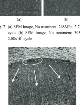 Fig. 8 SEM image, peening; 303.68MPa, 1.79x10 7  cycle