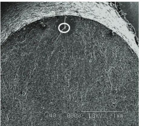 Fig. 11  SEM image, 800  o C laser heat treatment and  peened; 308.5MPa, 6.59x10 8  cycle 