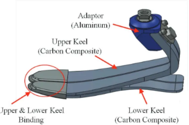 Fig. 1 Developed prosthetic feet model 