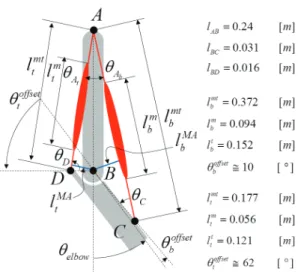 Fig. 3 Kinematic analysis of the human elbow joint 
