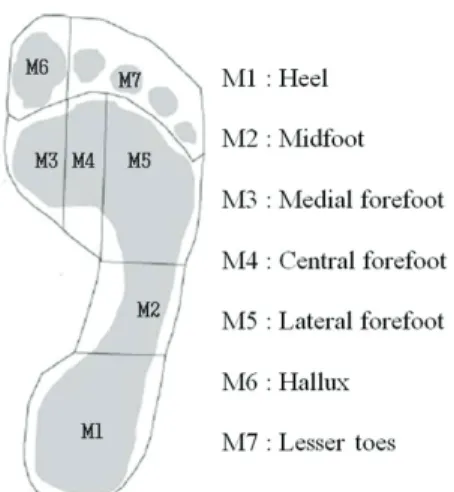 Fig. 5 Regional masking of the plantar surface 