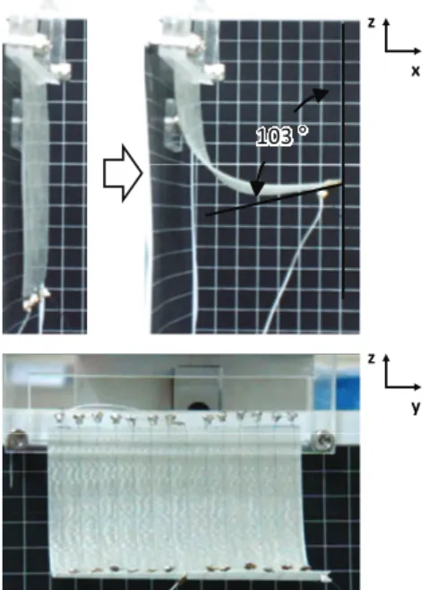 Fig. 8 Specimen for twisting test (same color is a serial  connection except black wires) 