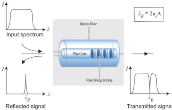 Fig. 1 Principle of the fiber bragg grating sensor  3. FBG  가속도계  설계  및  실험 