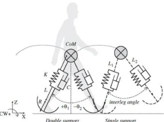 Fig. 1 Compliant leg model [Adapted from Kim 7 ] 