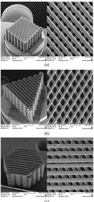 Fig. 7 SEM image of diagonal line PCL structures 