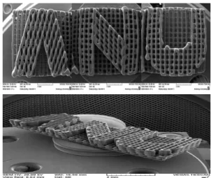 Fig. 8 SEM image of hybrid PCL structure 