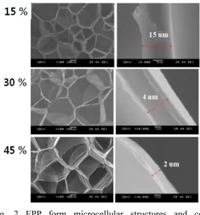 Fig. 2 EPP form microcellular structures and cell  thickness according to expansion ratio 6    