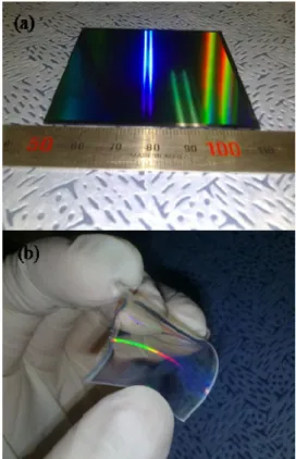 Fig. 2 Photographs of (a) Si stamp and (b) PDMS mold 