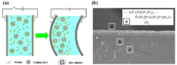 Fig. 1 Ion-exchangeable polymer membrane and layer-up  of IPMC (a) Actuation principle, (b)  Cross-sectional view of IPMC 4